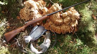 410 Squirrel hunting with Webley bolt action [upl. by Aetnahs]