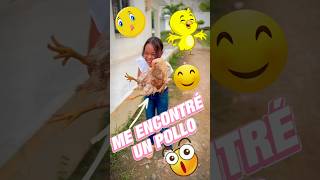 Rico guisado de pollo 🐥 drama reflexion videosviralshorts [upl. by Ellennad]