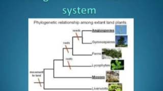 Dahlgrens System of Classification [upl. by Celestine517]