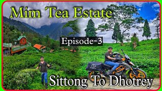 Mim Tea Estate Tea Garden Beutiful place 😱 Sittong To Dhotrey Bike Trip 2024 Episode3 [upl. by Enamart]