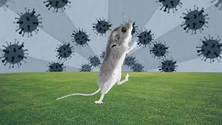 Medical Minute Hantavirus amp the Flu [upl. by Koral678]