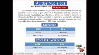 Ácidos Nucleicos generalidades  Ácidos nucleicos parte I [upl. by Locin567]