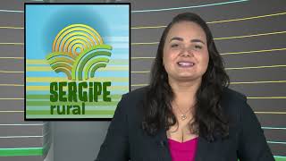 SERGIPE RURAL  PROGRAMA 466 [upl. by Farmann]