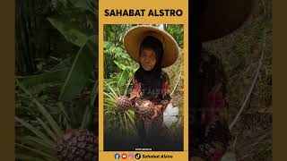 KURIR ANTAR PAKET DI PELOSOK DESA Tibatiba Dapat Rezeki Buah Nanas Dari Neneknenek Warga Setempat [upl. by Melody]