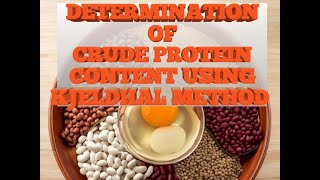 DETERMINATION OF CRUDE PROTEIN CONTENT USING KJELDHAL METHOD [upl. by Eseilana]