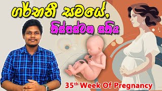 Pregnancy 35th Week  Sinhala Medical Review  අම්මයි බබයි [upl. by Aronal]