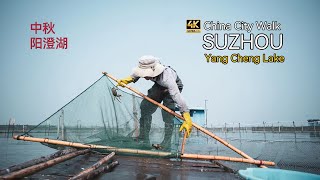 Walk in Suzhou Yangcheng Lake Famous In China For Hairy Crabs  China City Walk 4K [upl. by Ellehcirt]