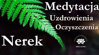 Medytacja Uzdrowienie i Oczyszczenie NEREK [upl. by Ellenhoj972]