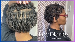 Loc Diaries ep 2  2 Month Starter Locs Update  Finger Coils locjourney starterlocs [upl. by Drofiar]