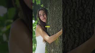 Dryad 🌳 🌱 dryad mythical creature facts subscribe shorts ai [upl. by Oecile963]