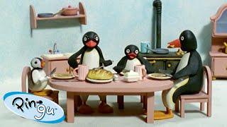 Pingu Loves His Family Pingu  Official Channel  Cartoons For Kids 🐧 [upl. by Eletnahc]