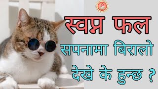 सपनामा बिरालाे देखे के हुन्छ स्वप्न फल by sanjel ji maharaj  sapana ma biralo dekhnu [upl. by Deppy]