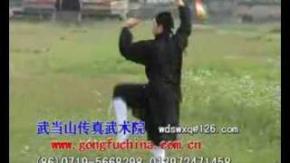 Wudang Taiji Sword 武当太极剑 [upl. by Knarf]