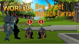 AQW How to get Nulgath Larvae  Epic must have pet  Includes 2 Quests  Usable for NonMembers [upl. by Hnilym]