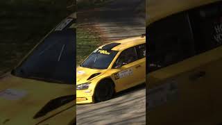 RONDE DEL CANAVESE 2024  SKODA FABIA RALLY2 EVO TEAM BALBOSCA ildiretta skoda rally noirally [upl. by Niboc]