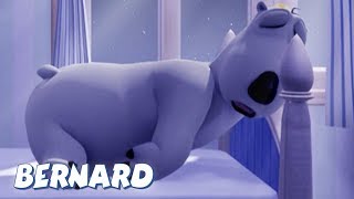 Bernard Bear  Sleepwalker AND MORE  30 min Compilation  Cartoons for Children [upl. by Nallek]