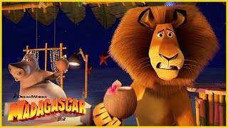 ¡¿Llamas a eso comida  DreamWorks Madagascar en Español Latino [upl. by Toille899]