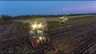 MAISHÄCKSELN 2019  ALTHAUSEN  CLAAS JAGUAR 960  FENDT VARIO TRAKTOREN  KRONE  LANDWIRTSCHAFT [upl. by Yemaj]