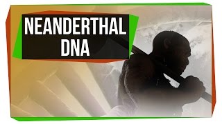 What Neanderthal DNA Is Doing To Your Genome [upl. by Malina942]