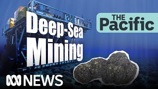 What are the dangers of deepsea mining  The Stream [upl. by Frechette]