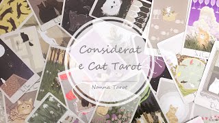 開箱 🥀 溫柔貓塔羅牌 • Considerate Cat Tarot  Nanna Tarot [upl. by Ylebmik]