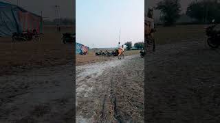 Horse race bihar shortsviral racing [upl. by Afas232]