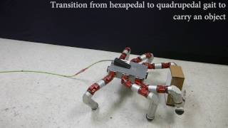 Generating Gaits for Simultaneous Locomotion and Manipulation [upl. by Bela]