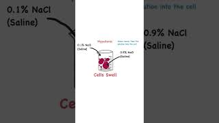 Tonicity explained  The Dance of Life anatomyandphysiology osmosis biology science [upl. by Ygief135]