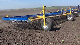 Treffler TS Precision Tine Harrow in tiny sunflowers [upl. by Suoicerp]