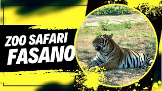 Zoo Safari Fasano  29072019 [upl. by Pooh]