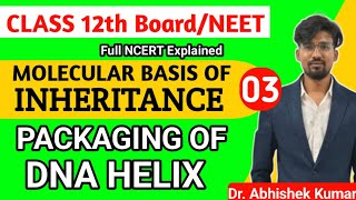 Packaging of DNA HELIX  NEET Biology 2025  NCERT Class12 [upl. by Ardnekal]