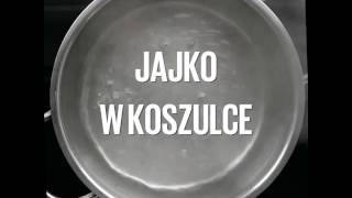 Jajko w koszulce [upl. by Len]