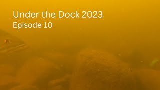 Under the Dock 2023 Episode 10 [upl. by Ahsina348]