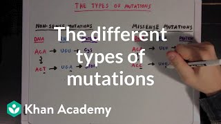 The different types of mutations  Biomolecules  MCAT  Khan Academy [upl. by Eelaroc672]