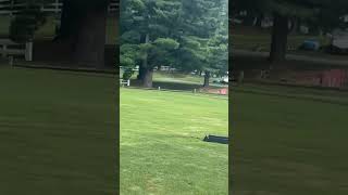 out of control driver wreaked havoc at Deerfield Golf Club in Newark Delaware [upl. by Phelgon]