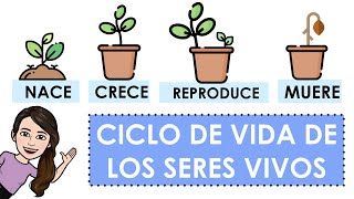 Ciclo de vida de los seres vivos con ejemplos [upl. by Lepine]