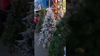 Amazing Christmas Tree Decor at Dapitan Arcade Quezon City September 7 2024 christmastree shorts [upl. by Nohcim]