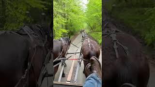 Wagon Train clips [upl. by Bez159]