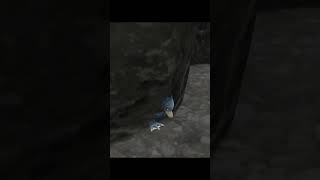 GOLDUCK IN WALL HILARIOUS pokemonglitch pokemon pokemonscarletandviolet glitch gaming [upl. by Dorren]