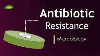 Antibiotic Classes in 7 minutes [upl. by Nilok]