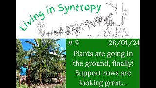 Planting the support rows  density diversity care and attention [upl. by Bertrando203]