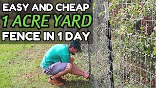 How to Build a Fence from Start to Finish with Wire to keep Critters In or Out  DIY Fence Project [upl. by Janiuszck142]