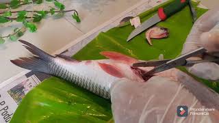 DISSECTION OF FISH  ROHU RUI  ROHO  SCIENTIFIC NAME LABEO ROHITA [upl. by Asiluj635]