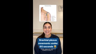 Memorize the Brachial Plexus [upl. by Carlstrom88]