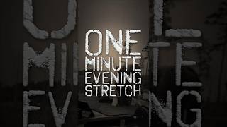 HowTo One Minute Evening Stretch  Reduce lower back pain and rigid upper body [upl. by Etteniotna830]