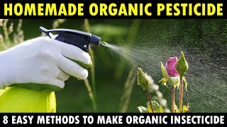 Best Homemade Organic Pesticides for Vegetable Plants  How to make Organic insecticide at Home [upl. by Ahtnicaj]