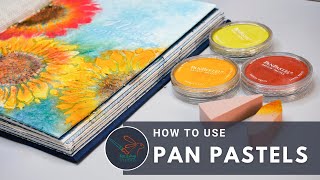 How to Use Pan Pastels [upl. by Ellenig]