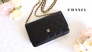 Chanel Wallet On Chain WOC  Unboxing What Fits Inside [upl. by Ahsenev]