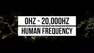 0Hz22kHz  Line Animation Reacting To Sound Frequencies [upl. by Phila]