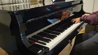 Vois Sur Ton Chemin  Piano Cover from quotThe Chorusquot BENNET [upl. by Novla]